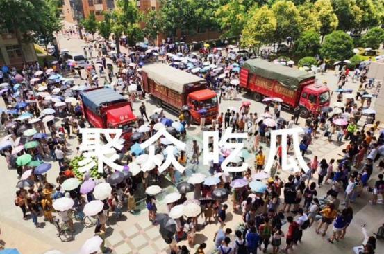 吃瓜爆料大学,吃瓜爆料，大学生活那些事儿