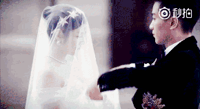 娱乐圈吃瓜陈晓微博,吃瓜群众热议不断