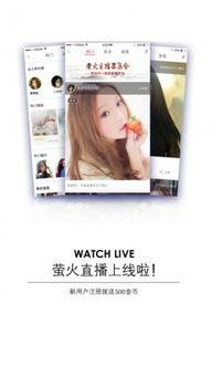 91萤火直播下载,探索全新直播体验的魅力之旅